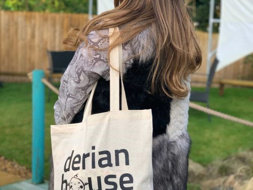 derian house tote bag