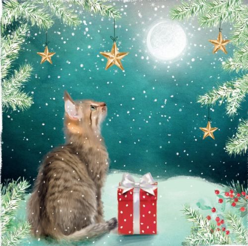 'Cat In The Moonlight' 10 Pack Christmas Cards NEW FOR 2024
