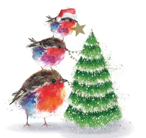 'Junior Putting On The Star' 10 Pack Christmas Cards NEW FOR 2024
